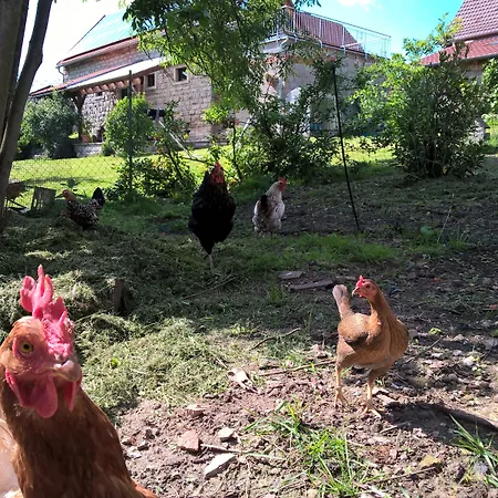 Frühstückspension Atelier Reinhart